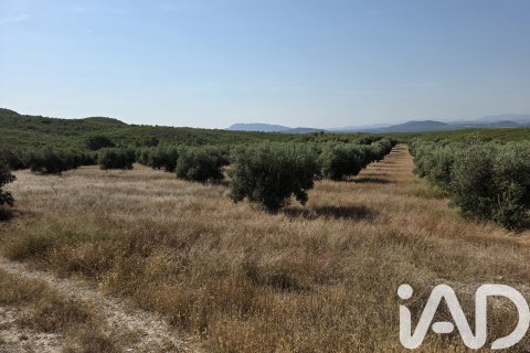 Commercial property for sale in Moratalla, Murcia, Spain No. 172068 - photo 17