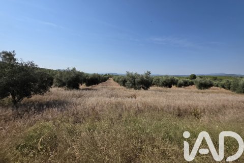Commercial property for sale in Moratalla, Murcia, Spain No. 172068 - photo 21