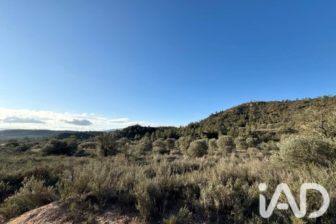 Продажа земельного участка в Фликс, Таррагона, Испания 335390м2 №187532 - фото 6