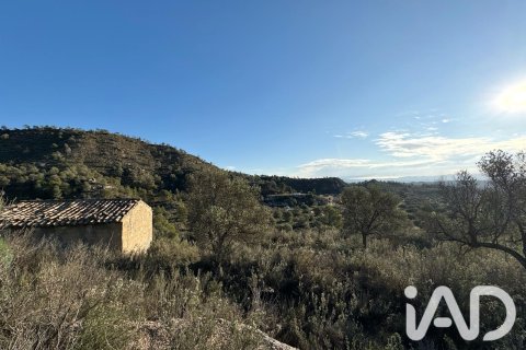 Продажа земельного участка в Фликс, Таррагона, Испания 335390м2 №187532 - фото 2