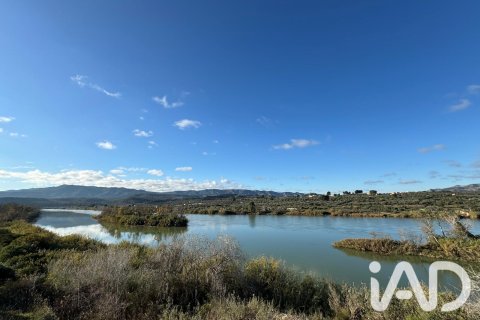Продажа земельного участка в Фликс, Таррагона, Испания 335390м2 №187532 - фото 9