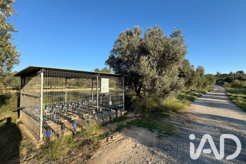 Продажа земельного участка в Фликс, Таррагона, Испания 335390м2 №187532 - фото 8