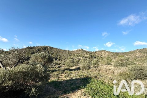 Продажа земельного участка в Фликс, Таррагона, Испания 335390м2 №187532 - фото 7