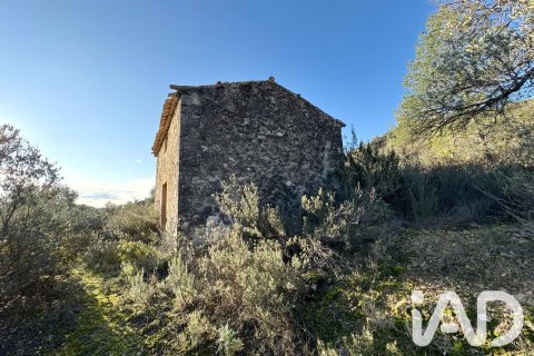 Земельный участок в Фликс, Таррагона, Испания 335390м2 №187532