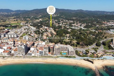 Tontti myytävänä Calonge, Girona, Espanja, 4 makuuhuonetta, 4304 m2 No. 176770 - kuva 2