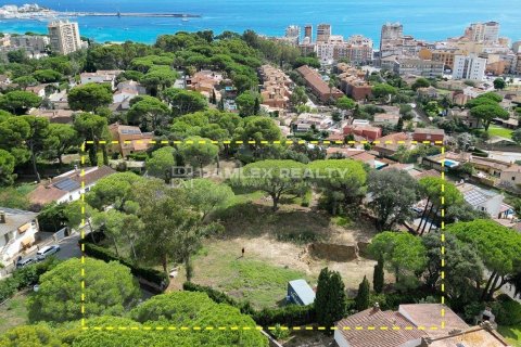 Tontti myytävänä Calonge, Girona, Espanja, 4 makuuhuonetta, 4304 m2 No. 176770 - kuva 21