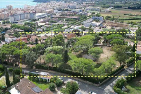 Tontti myytävänä Calonge, Girona, Espanja, 4 makuuhuonetta, 4304 m2 No. 176770 - kuva 23