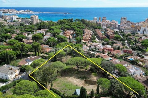 Tontti myytävänä Calonge, Girona, Espanja, 4 makuuhuonetta, 4304 m2 No. 176770 - kuva 11