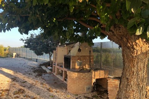 Finca in vendita a Orihuela, Alicante, Spagna 3 camere da letto, 250 mq. N° 144827 - foto 5