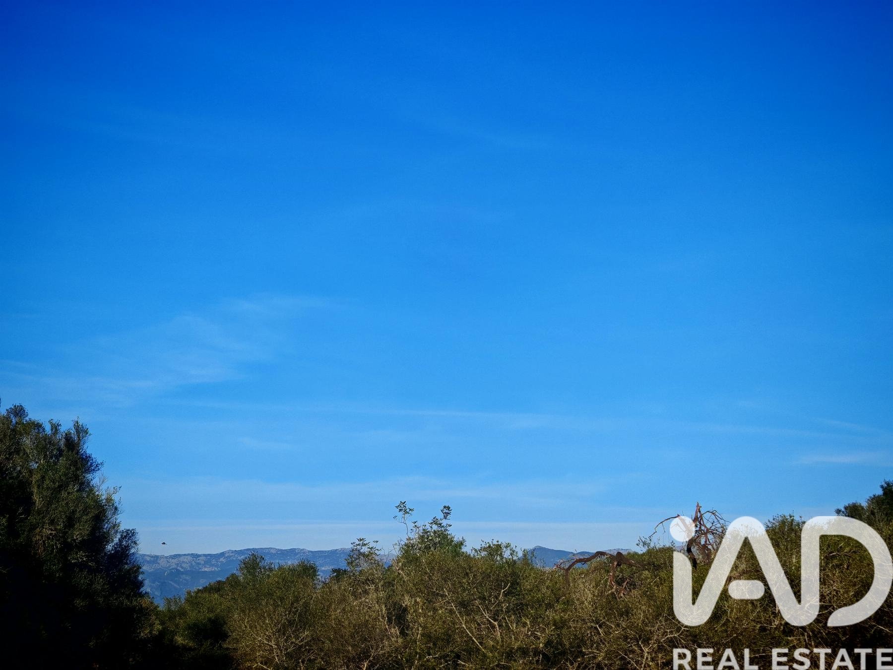 Land plot à Costitx, Mallorca, Espagne 16603 m2 No. 184895