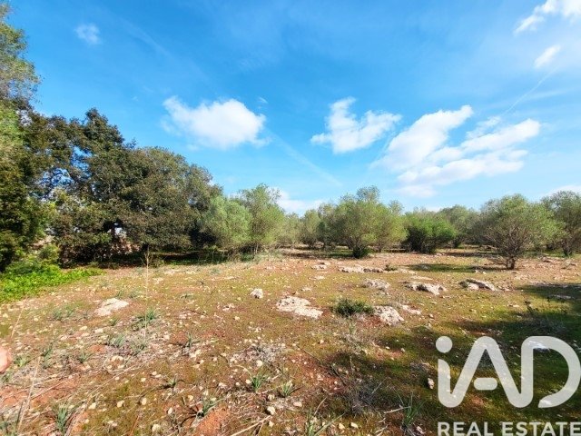 Land plot à Costitx, Mallorca, Espagne 16603 m2 No. 184895