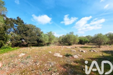 Działka w Costitx, Mallorca, Hiszpania 16603 mkw. nr 184895 – zdjęcie 5