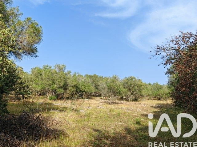 Land plot à Costitx, Mallorca, Espagne 16603 m2 No. 184895