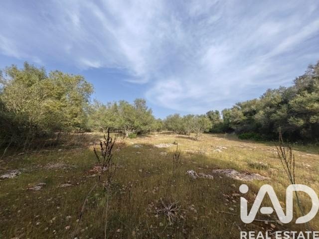 Land plot à Costitx, Mallorca, Espagne 16603 m2 No. 184895