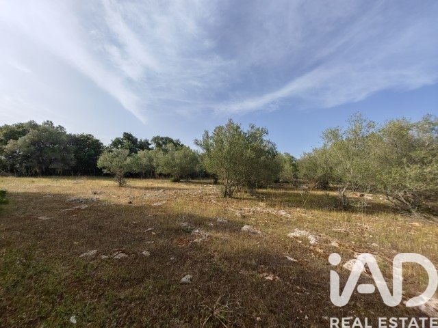 Land plot à Costitx, Mallorca, Espagne 16603 m2 No. 184895