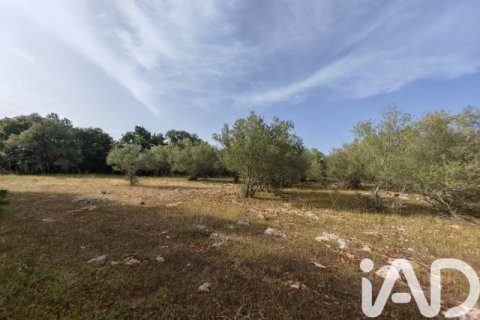 Działka w Costitx, Mallorca, Hiszpania 16603 mkw. nr 184895 – zdjęcie 3