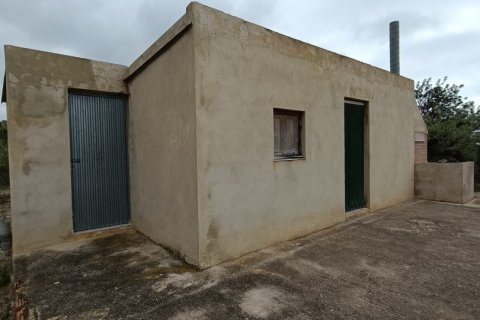 Land plot à vendre à El Perello, Tarragona, Espagne, 3500 m2 No. 192247 - photo 12