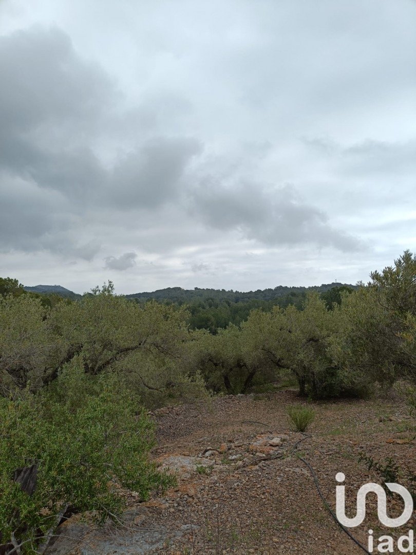 Land in El Perello, Tarragona, Spanien 3500 m2 Nr. 192247