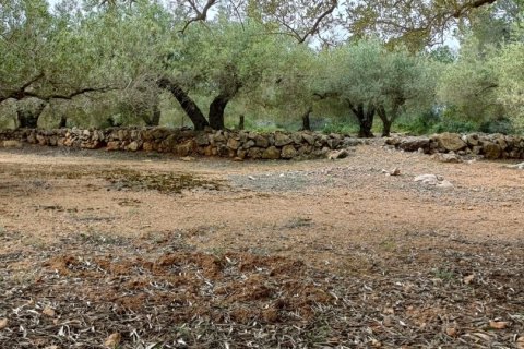 Land plot à vendre à El Perello, Tarragona, Espagne, 3500 m2 No. 192247 - photo 4