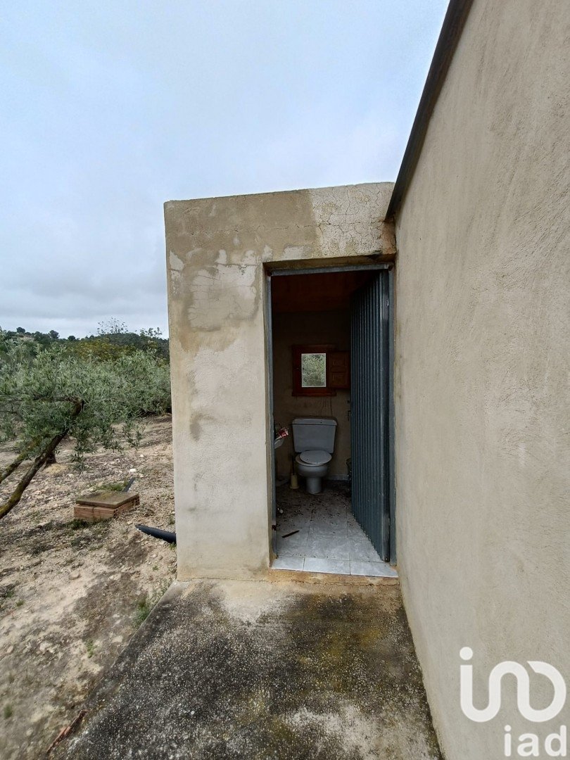 Land in El Perello, Tarragona, Spanien 3500 m2 Nr. 192247