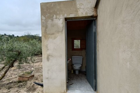 Land plot à vendre à El Perello, Tarragona, Espagne, 3500 m2 No. 192247 - photo 24