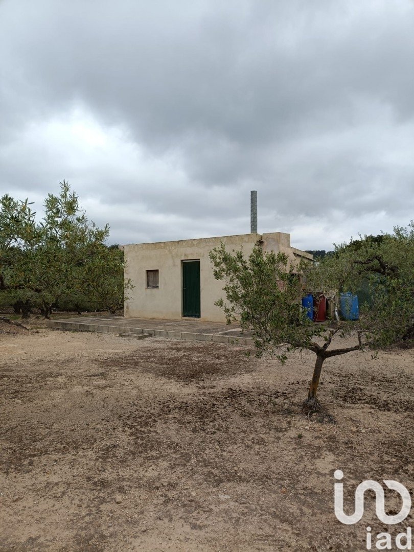 Land in El Perello, Tarragona, Spanien 3500 m2 Nr. 192247