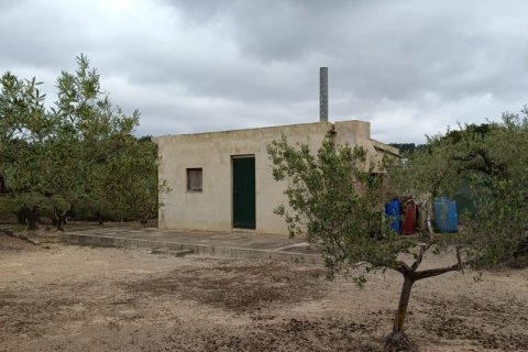 Land plot à vendre à El Perello, Tarragona, Espagne, 3500 m2 No. 192247 - photo 11