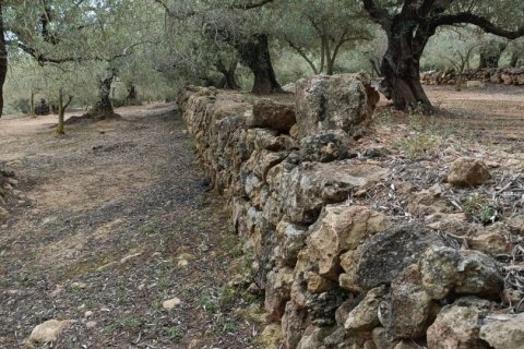 Land plot à vendre à El Perello, Tarragona, Espagne, 3500 m2 No. 192247 - photo 9