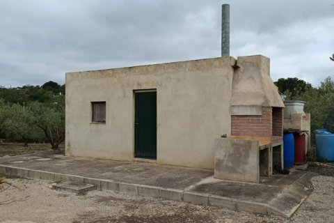 Land plot à vendre à El Perello, Tarragona, Espagne, 3500 m2 No. 192247 - photo 5