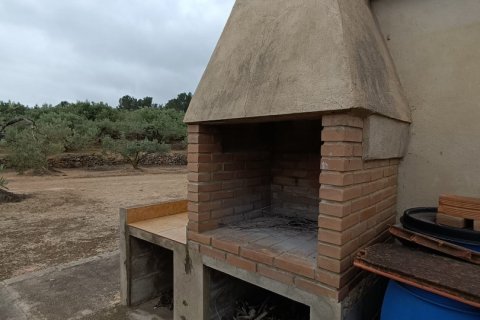 Land plot à vendre à El Perello, Tarragona, Espagne, 3500 m2 No. 192247 - photo 8