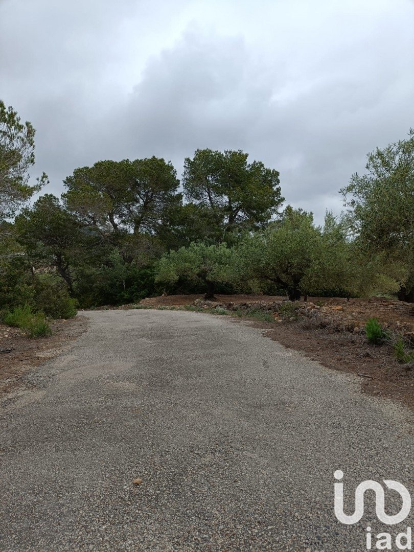 Land in El Perello, Tarragona, Spanien 3500 m2 Nr. 192247