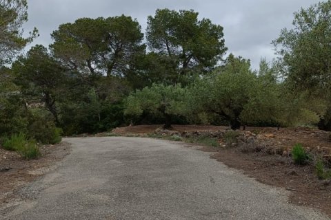 Land plot à vendre à El Perello, Tarragona, Espagne, 3500 m2 No. 192247 - photo 14