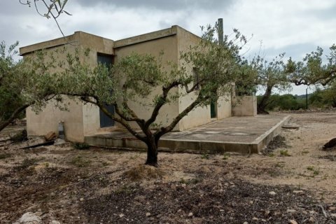 Land plot à El Perello, Tarragona, Espagne 3500 m2 No. 192247