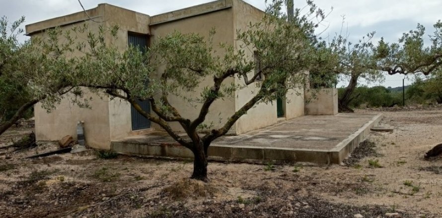 Land plot à El Perello, Tarragona, Espagne 3500 m2 No. 192247