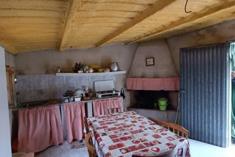 Land plot à vendre à El Perello, Tarragona, Espagne, 3500 m2 No. 192247 - photo 23