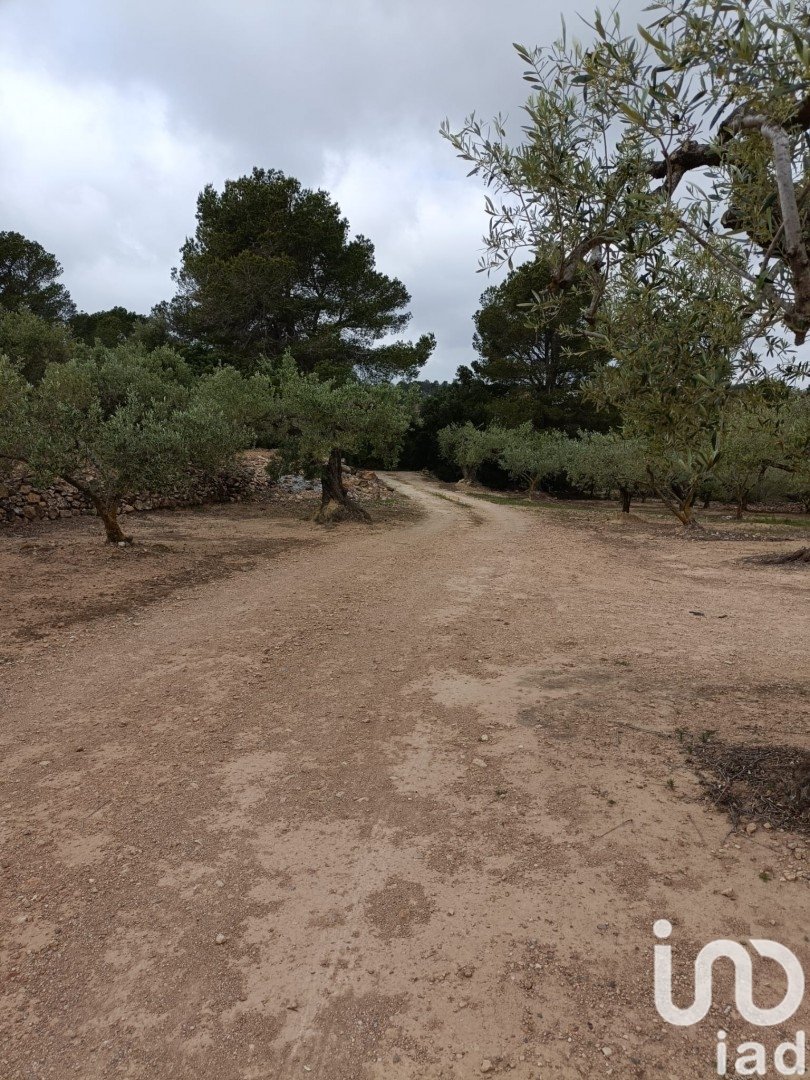 Land in El Perello, Tarragona, Spanien 3500 m2 Nr. 192247