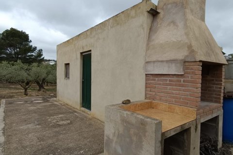 Land plot à vendre à El Perello, Tarragona, Espagne, 3500 m2 No. 192247 - photo 7