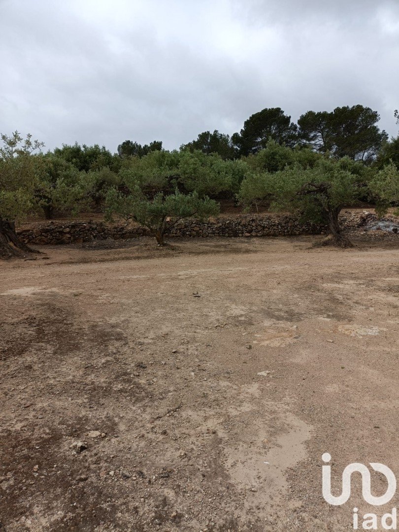 Land in El Perello, Tarragona, Spanien 3500 m2 Nr. 192247