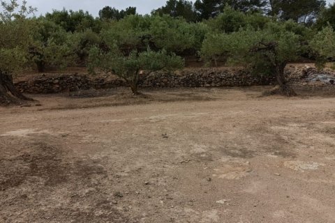 Land plot à vendre à El Perello, Tarragona, Espagne, 3500 m2 No. 192247 - photo 2