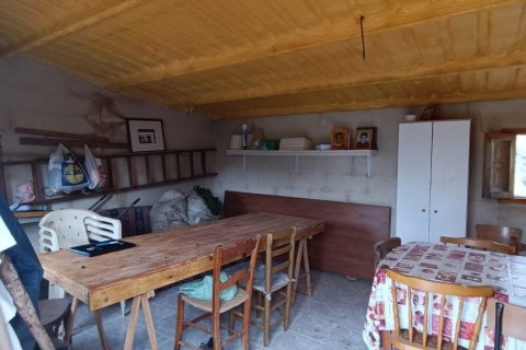 Land plot à vendre à El Perello, Tarragona, Espagne, 3500 m2 No. 192247 - photo 20