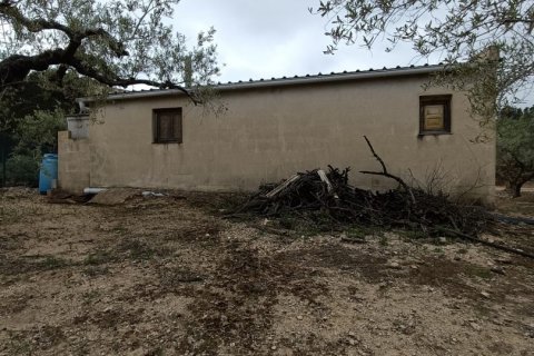 Land plot à vendre à El Perello, Tarragona, Espagne, 3500 m2 No. 192247 - photo 13