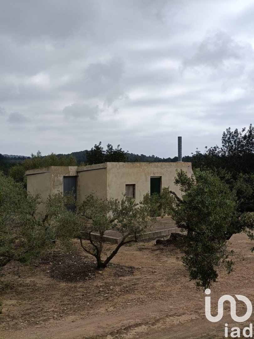 Land in El Perello, Tarragona, Spanien 3500 m2 Nr. 192247