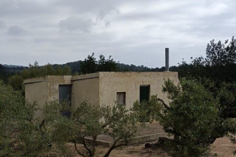 Land plot à vendre à El Perello, Tarragona, Espagne, 3500 m2 No. 192247 - photo 6