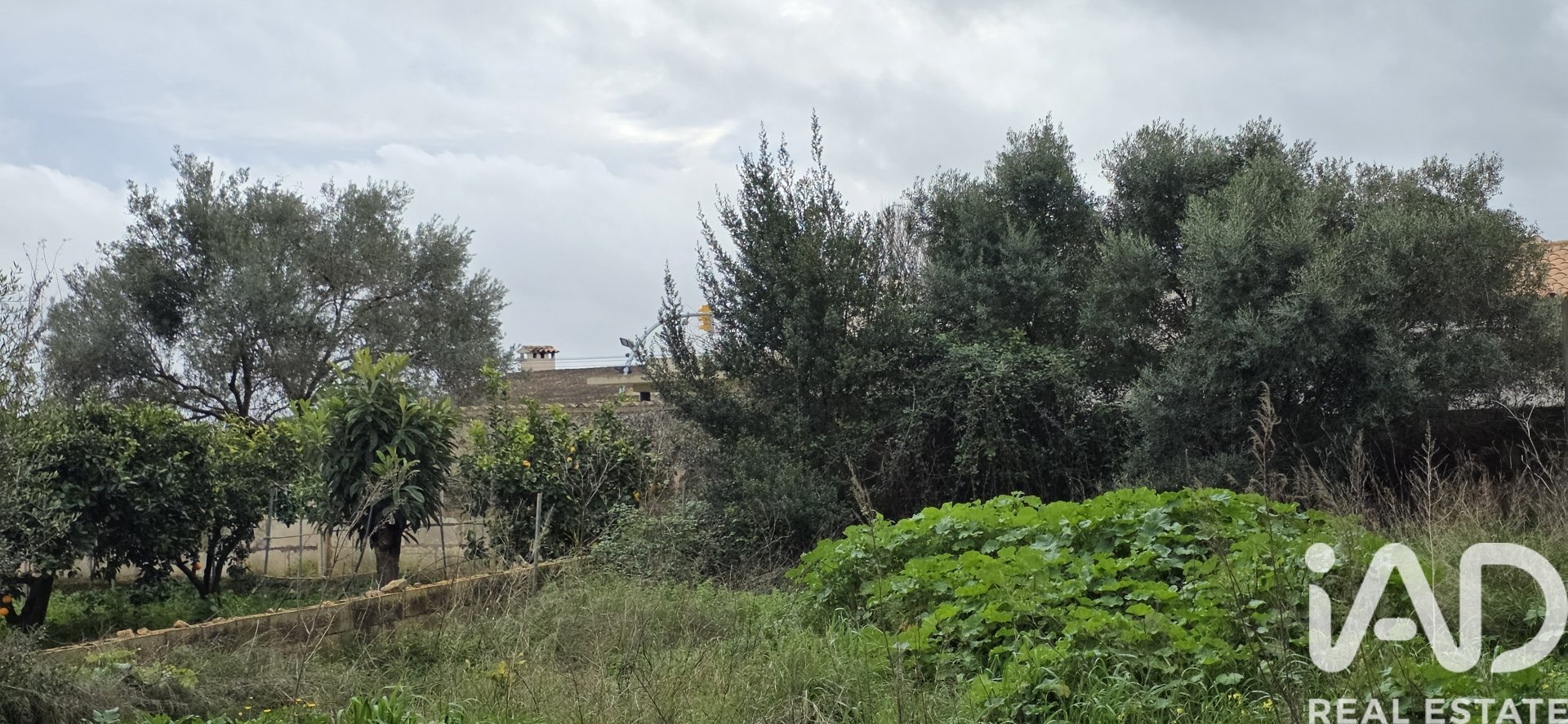 Land plot à Sant Llorenc Des Cardassar, Mallorca, Espagne 235 m2 No. 185792