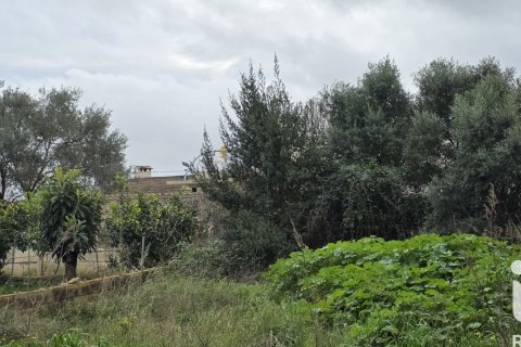Land plot à vendre à Sant Llorenc Des Cardassar, Mallorca, Espagne, 235 m2 No. 185792 - photo 3