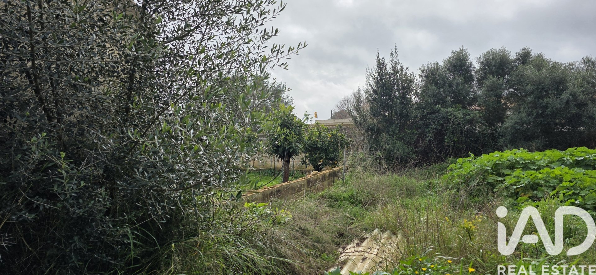 Land plot à Sant Llorenc Des Cardassar, Mallorca, Espagne 235 m2 No. 185792