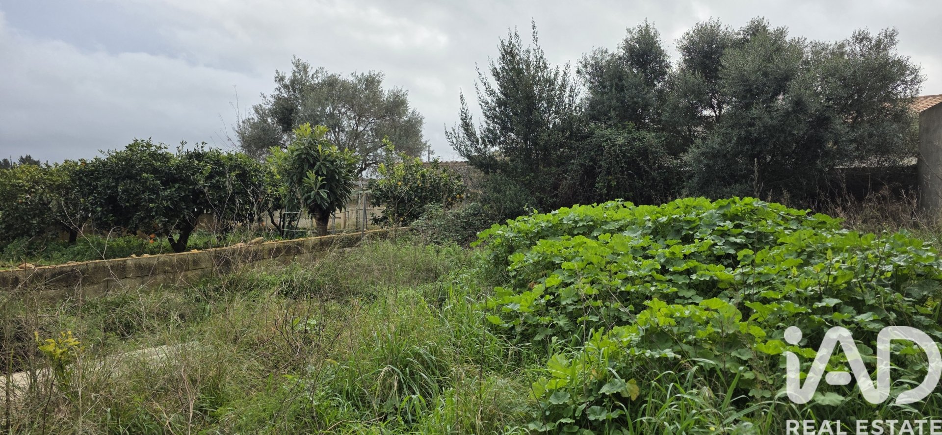 Land plot à Sant Llorenc Des Cardassar, Mallorca, Espagne 235 m2 No. 185792