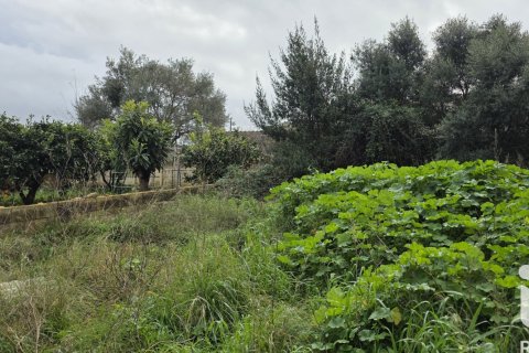 Land plot à vendre à Sant Llorenc Des Cardassar, Mallorca, Espagne, 235 m2 No. 185792 - photo 4