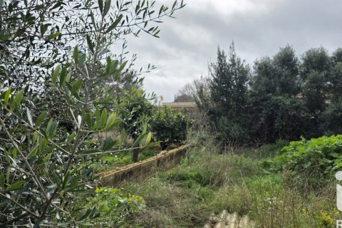 Tontti Sant Llorenc Des Cardassar, Mallorca, Espanja 235 m2 No. 185792