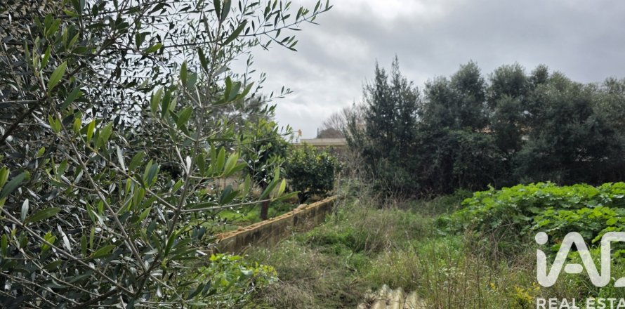 Land plot à Sant Llorenc Des Cardassar, Mallorca, Espagne 235 m2 No. 185792